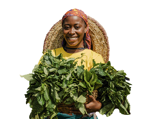 CVG Nourish to Flourish farmer