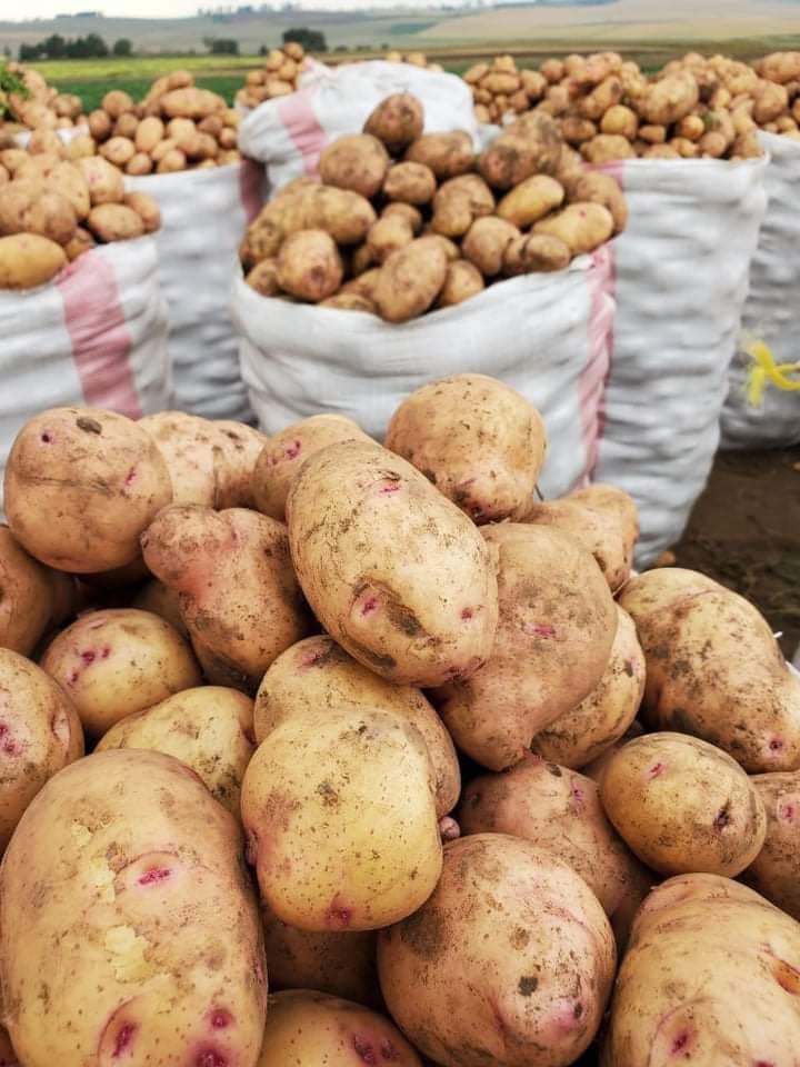 Smallholder Farmers at the core of our School Meals Programme